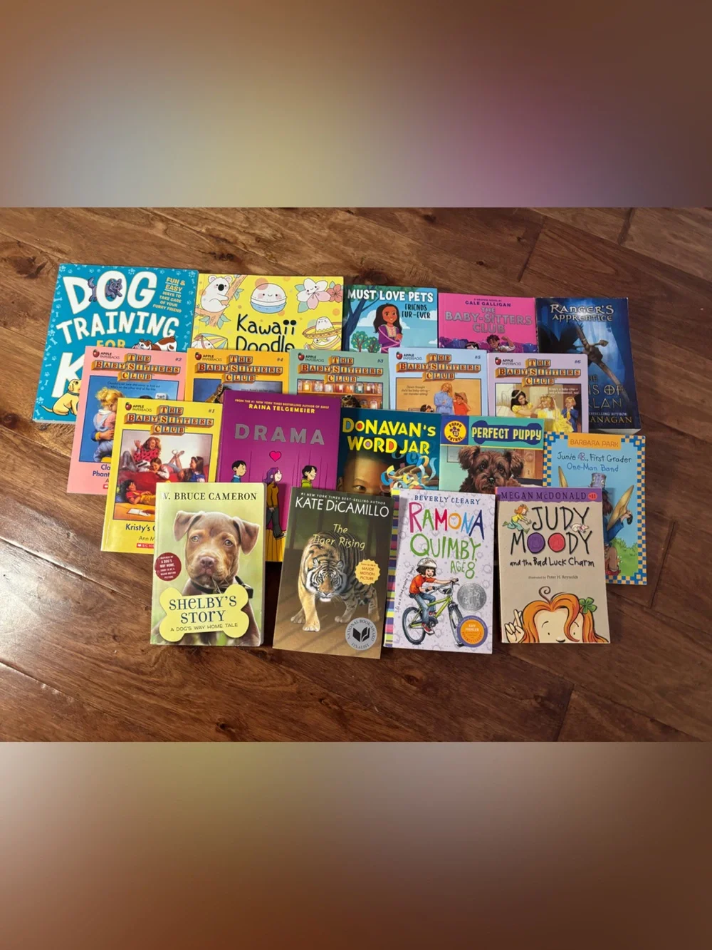 Set 20 NEW Classroom Library Homeschool Chapter Books Elementary Grades 2-6